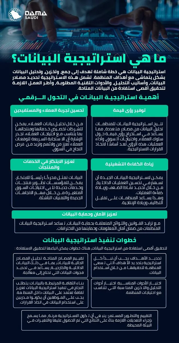 الشكل ٨: ما استراتيجية البيانات؟