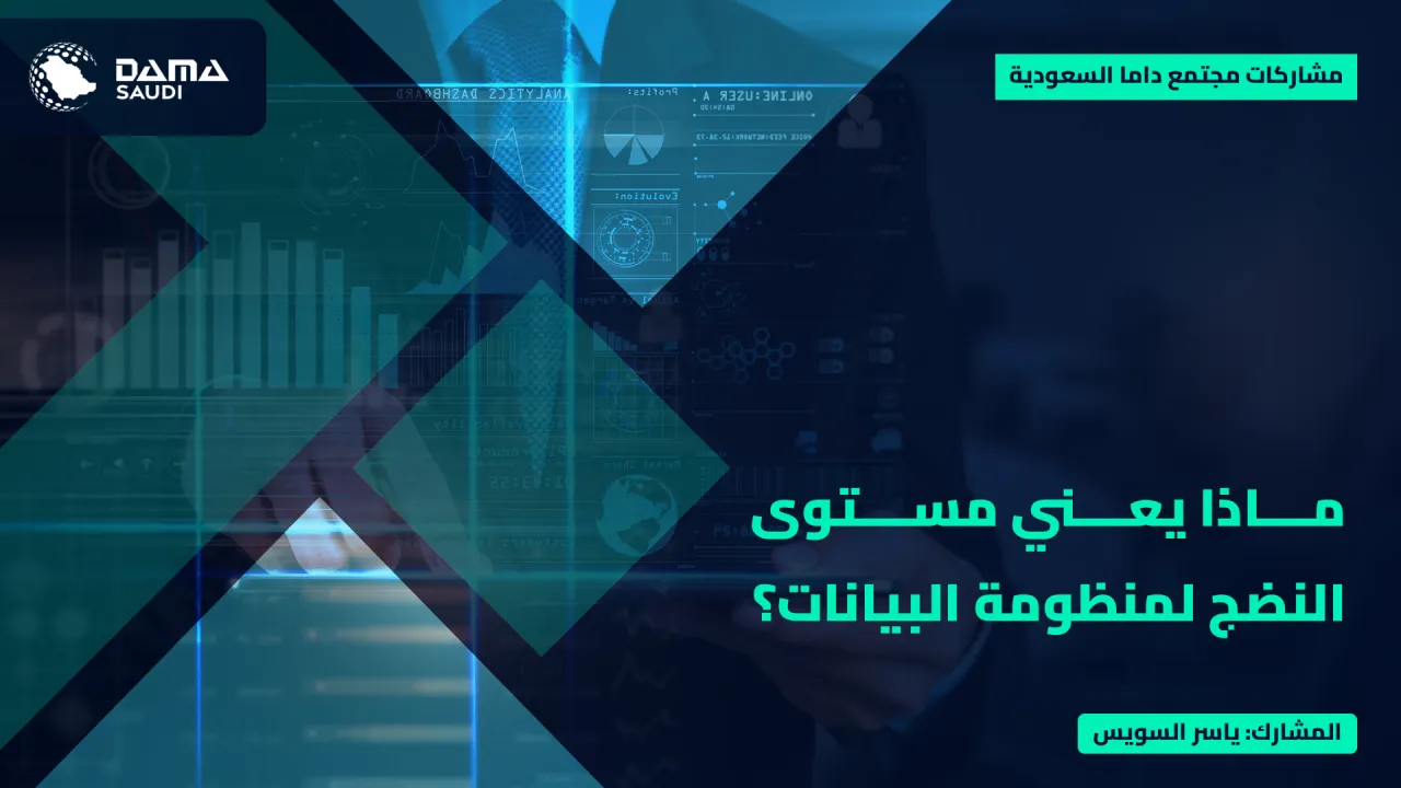 الشكل ١٦: ماذا يعني مستوى النضج لمنظومة البيانات؟